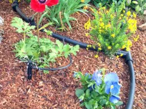 Drip Irrigation System Drip Irrigation System