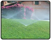 spray head yard
