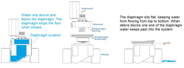 leaking diaphragm