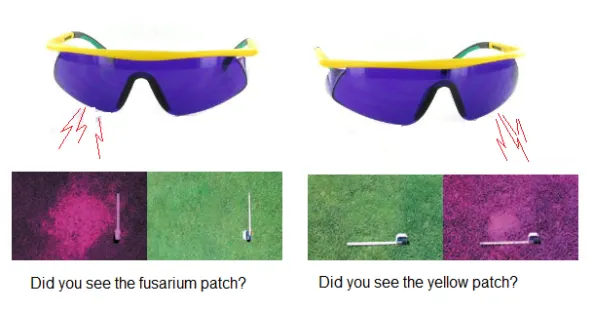 Turfspy glasses