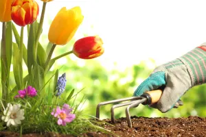 Gardening Tools