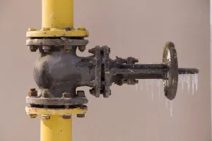 backflow device