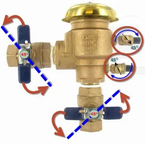 backflow freeze prev diag