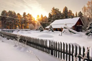 Winter Wonderland
