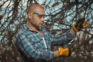 Pruning
