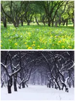 shutterstock_173774642