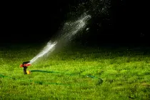 shutterstock_71595412