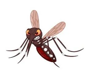 mosquito_161848946-01