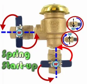 Spring backflow