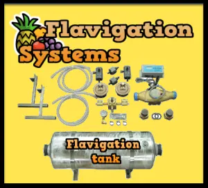 flav logo