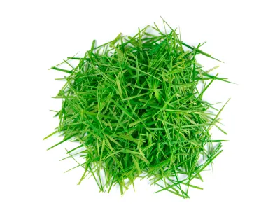 Lawn clippings