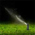 night-sprinkler