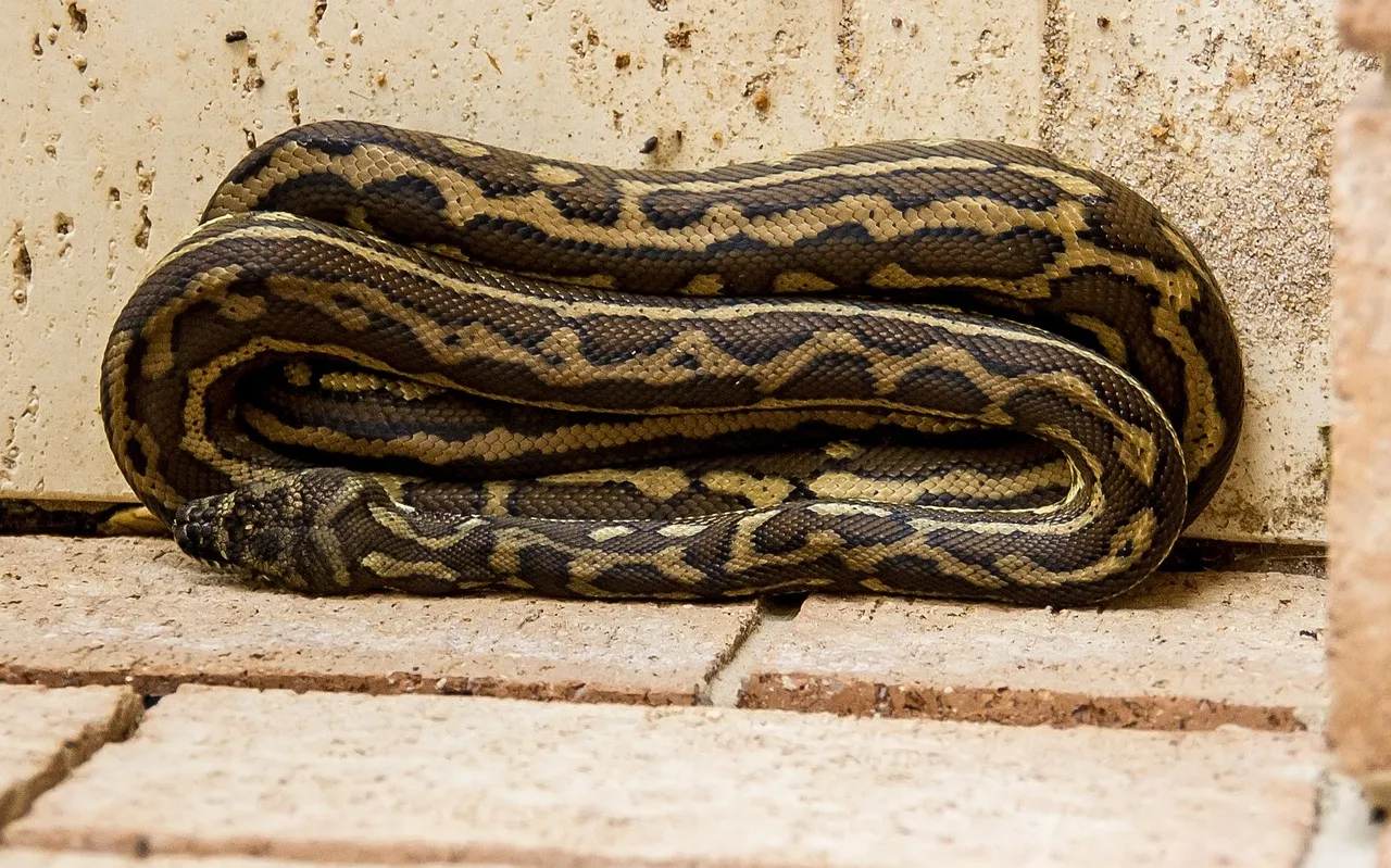 Facebook photo